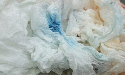 Deutsches Zeitungsmuseum in Wadgassen: Suyoung Kim – Papierkunst - Archiviert