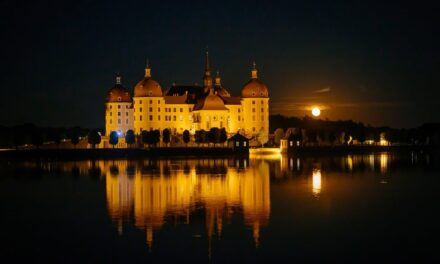 Moritzburg Festival 2023 - Archiviert