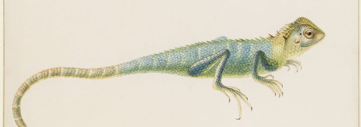 SKD Kupferstich-Kabinett: Künstler, Künstlerinnen und ihre Reisen - Archiviert