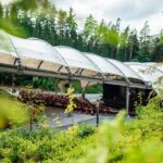 23. CHURSÄCHSISCHE FESTSPIELE: „Wie zu Königszeiten”