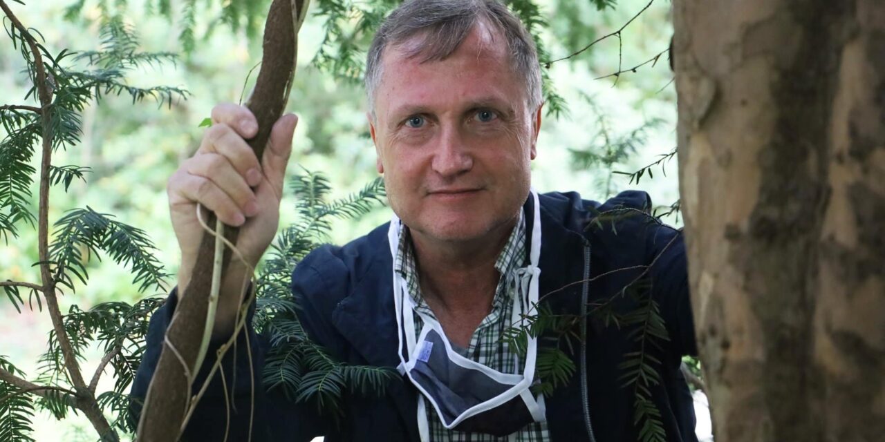 Kunsthalle Düsseldorf: Charly. Karl-Heinz Rummeny - Archiviert