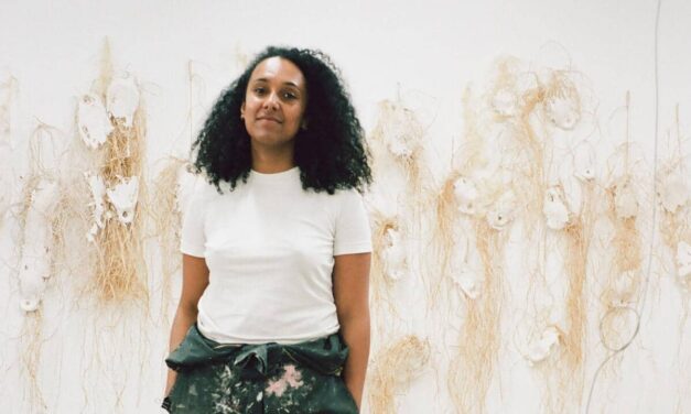 Kunsthalle Münster: Dominique White – When Disaster Strikes