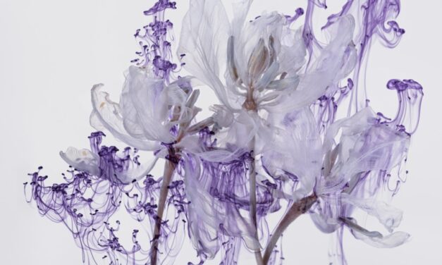 Deichtorhallen Hamburg | PHOXXI: KATHRIN LINKERSDORFF WORKS