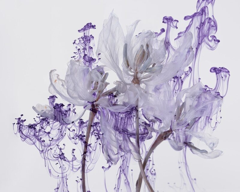 Deichtorhallen Hamburg | PHOXXI: KATHRIN LINKERSDORFF WORKS - Archiviert