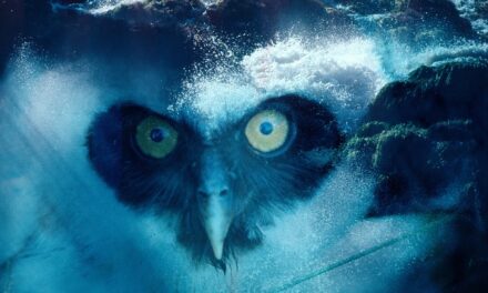 Deichtorhallen Hamburg | PHOXXI: CLAUDIA ANDUJAR. The End of the World - Archiviert