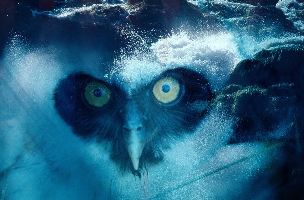 Deichtorhallen Hamburg | PHOXXI: CLAUDIA ANDUJAR. The End of the World - Archiviert