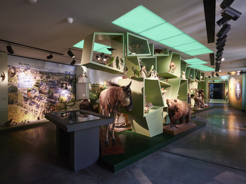 Nationalmuseum für Naturgeschichte – 'Natur Musée' © visit Luxembourg