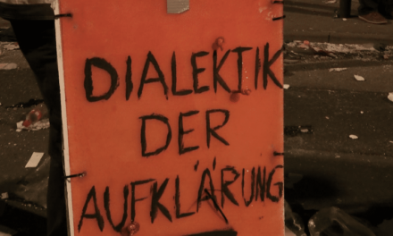 Stadtmuseum St. Pölten: Utopie by Videocity - Archiviert