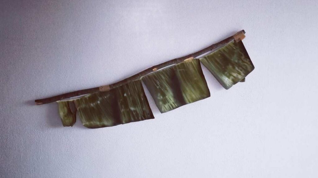 © Victor Hugo Portillo