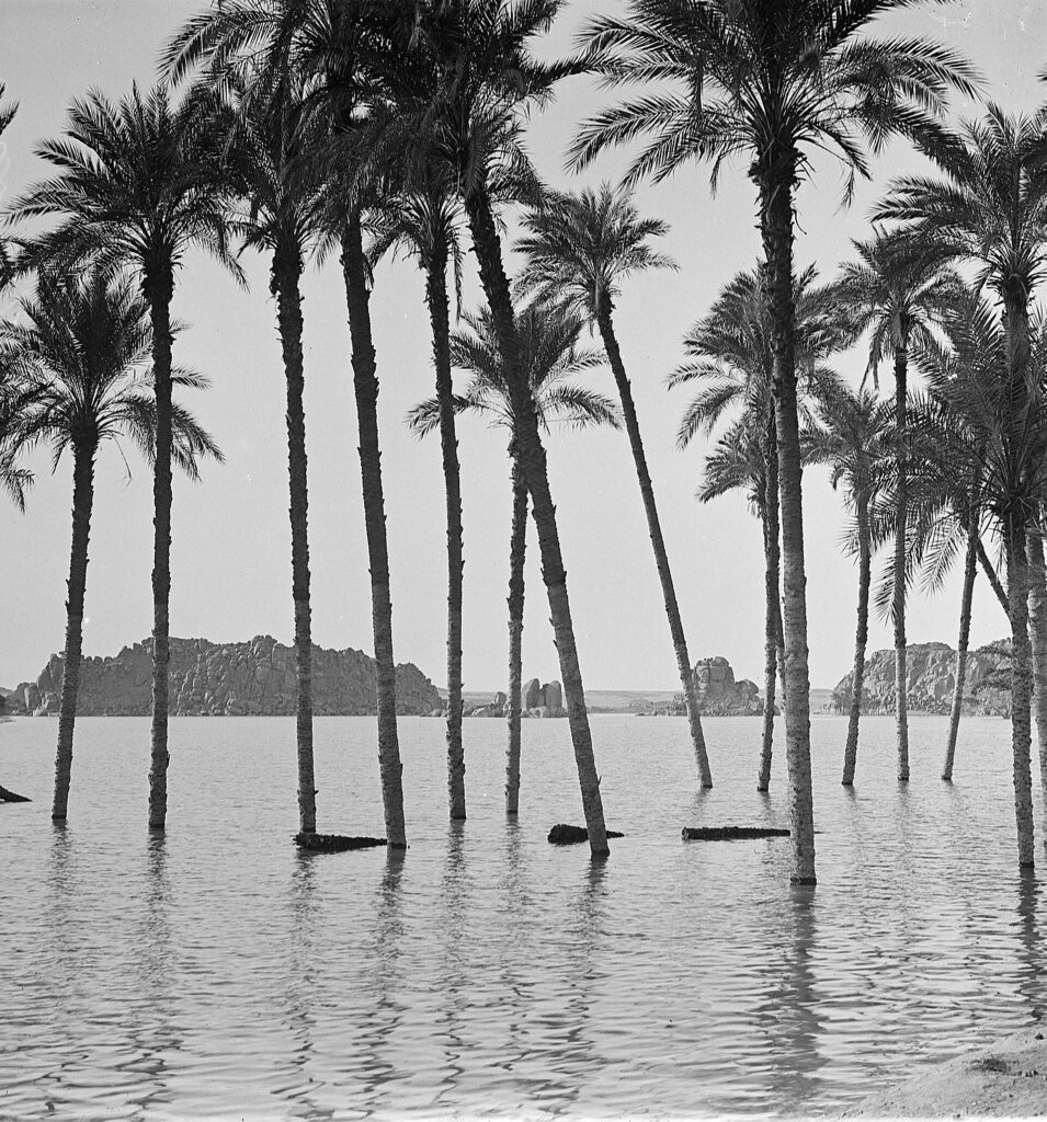 Blick vom Ufer des Nils bei Schellal, Fotografie, 9. Jänner 1904 © Österreichische Nationalbibliothek