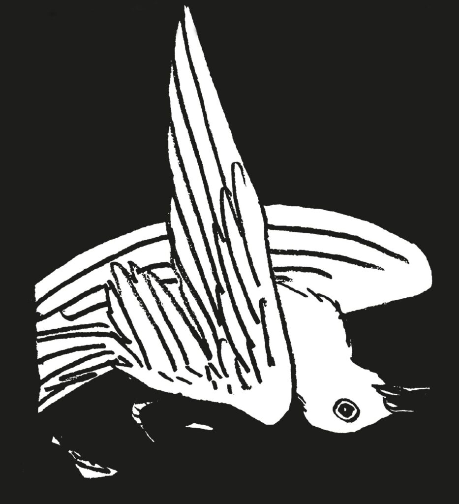 Ulli Lust: Heute ist der letzte Tag vom Rest deines Lebens: Ulli Lust & avant-verlag, 2009