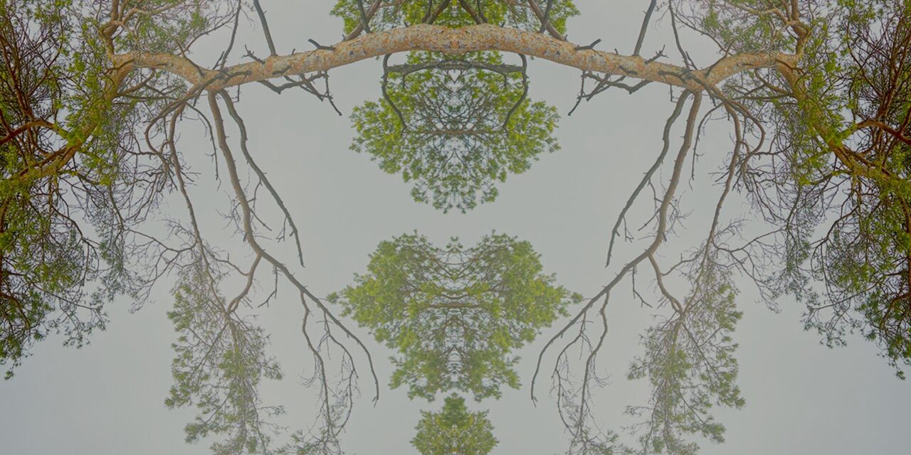 Mainfranken Theater Würzburg: Tanzstück „Vier Jahreszeiten” von Dominique Dumais - Archiviert