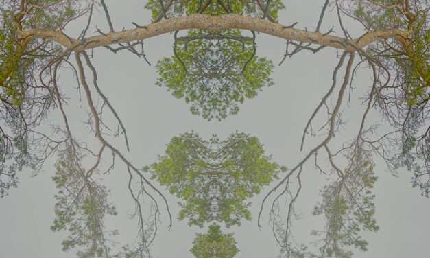 Mainfranken Theater Würzburg: Tanzstück „Vier Jahreszeiten” von Dominique Dumais