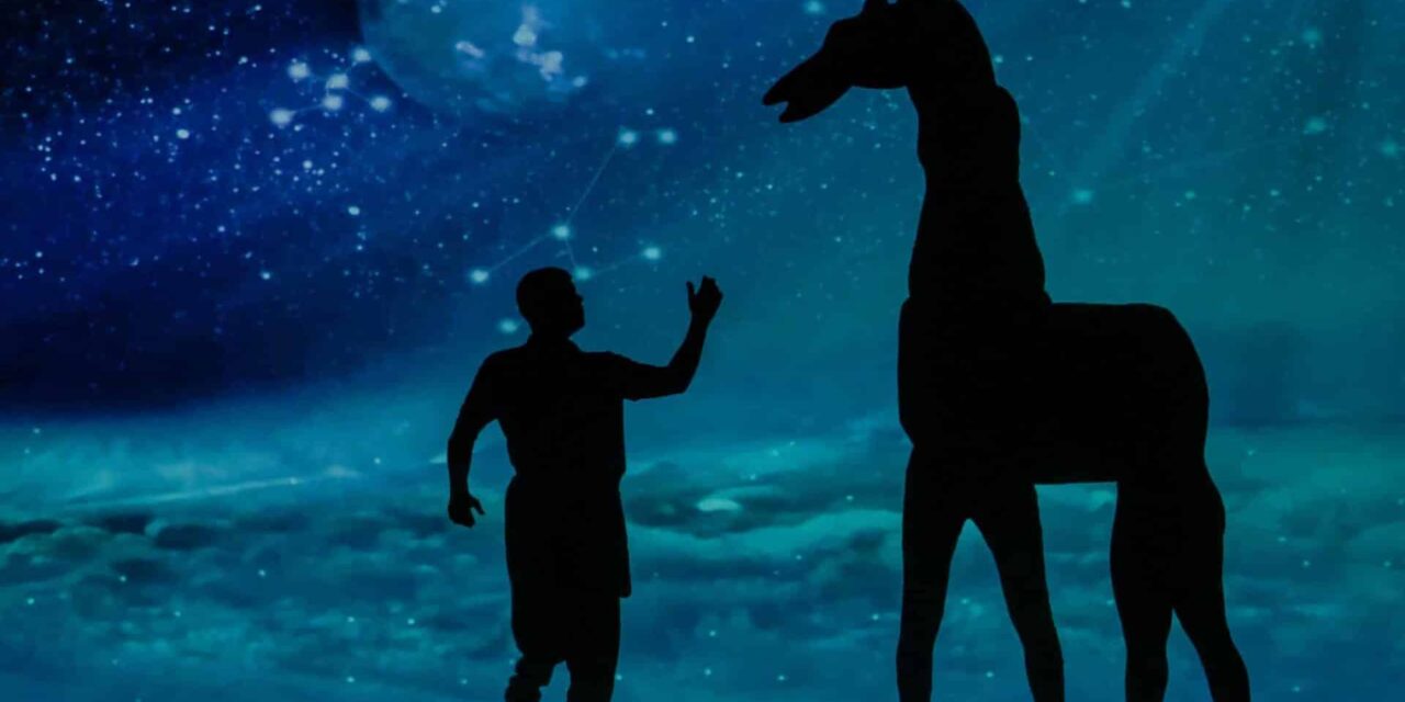 Kurhaus Wiesbaden: Amazing Shadows - Archiviert