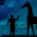 Kurhaus Wiesbaden: Amazing Shadows