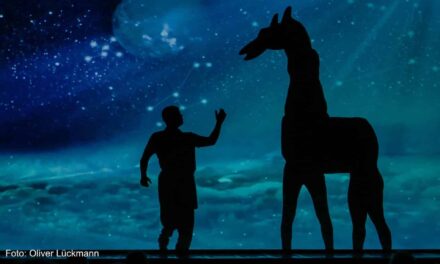 Kurhaus Wiesbaden: Amazing Shadows - Archiviert