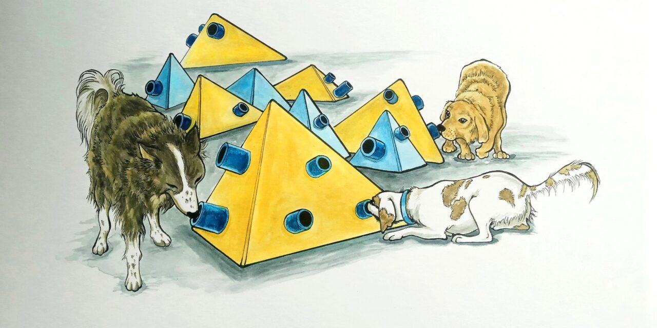 Kunsthalle Darmstadt: Animalia. Streifzüge von Los Angeles bis Mumbai - Archiviert