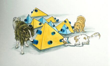 Kunsthalle Darmstadt: Animalia. Streifzüge von Los Angeles bis Mumbai - Archiviert