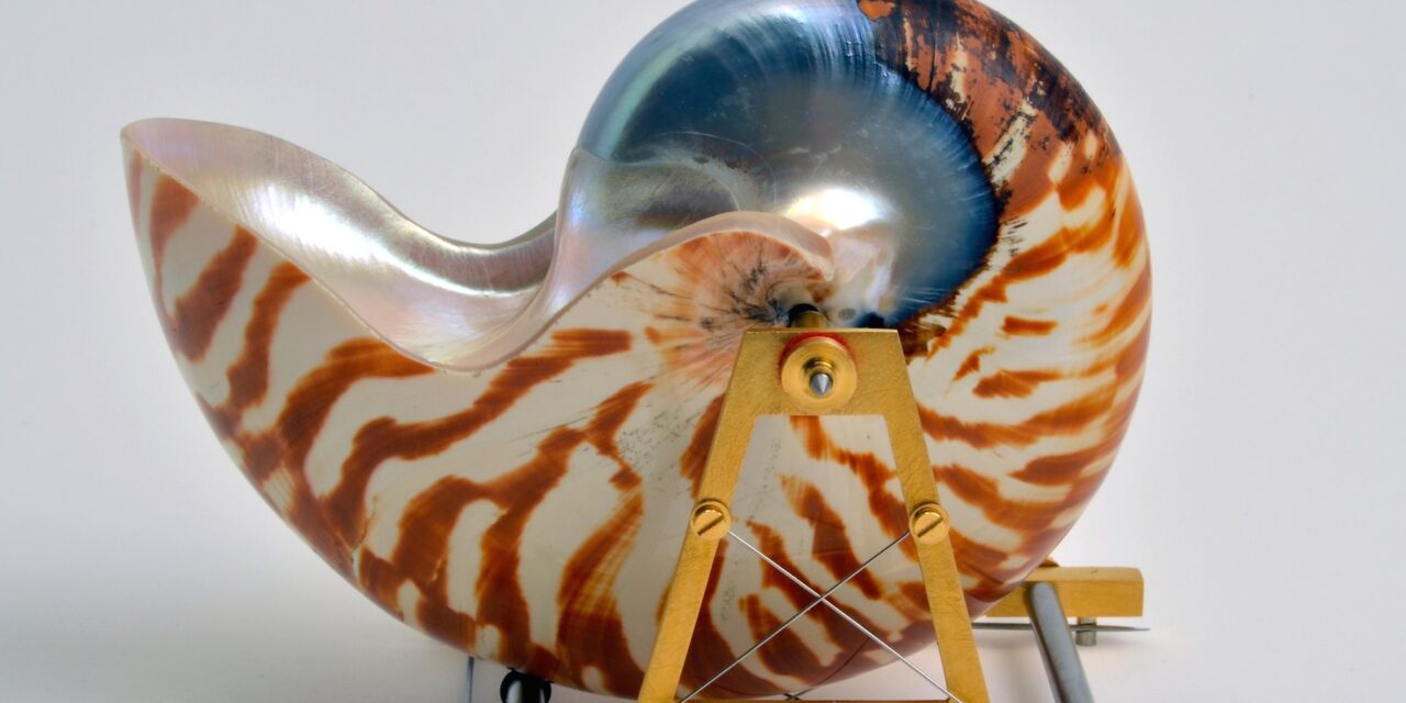 Pinakothek der Moderne München: Sigurd Bronger. Trag-Objekte - Archiviert