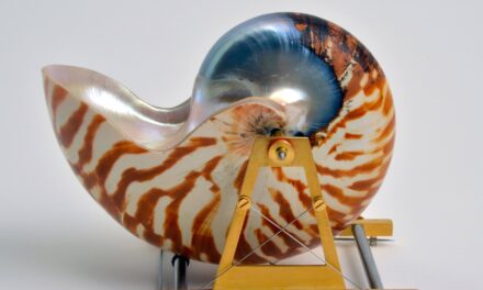 Pinakothek der Moderne München: Sigurd Bronger. Trag-Objekte - Archiviert