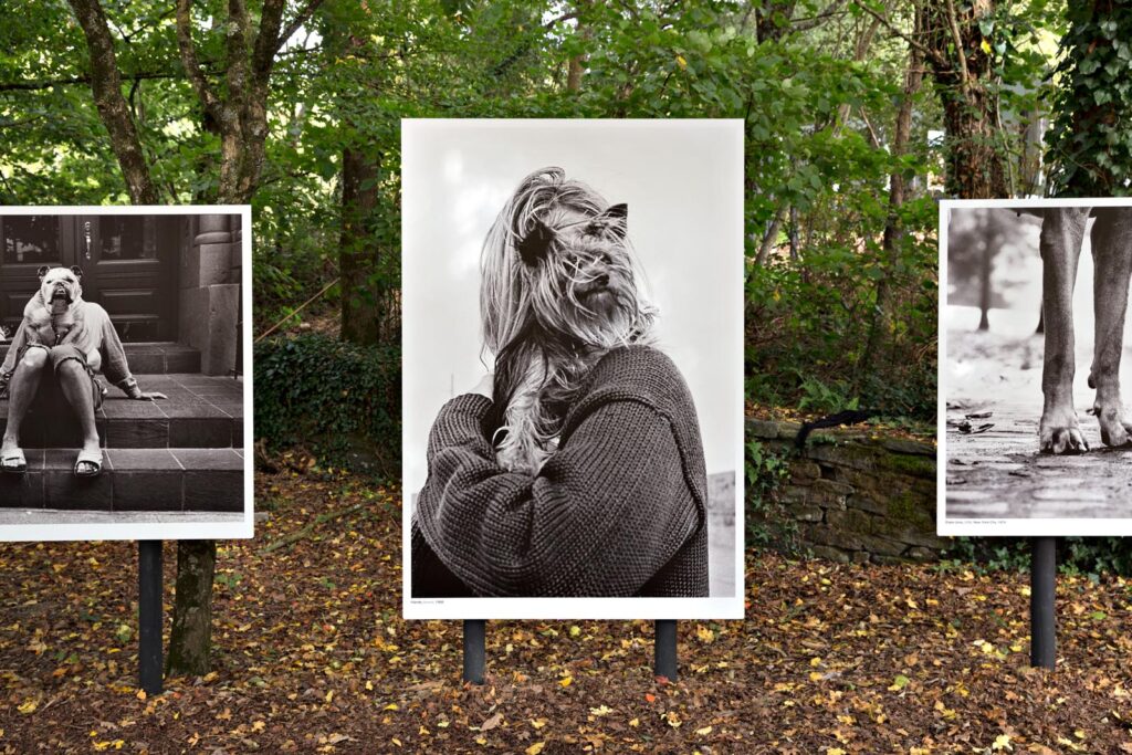 Festival La Gacilly-Baden Photo 2017 © Lois Lammerhuber