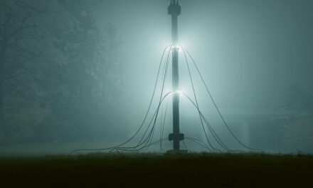 Fondation Beyeler: Sommerausstellung - Archiviert