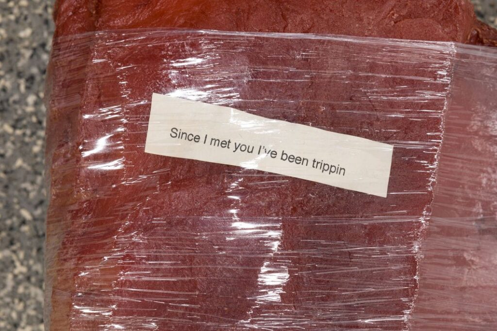 Shahryar Nashat, Bone In (Since I met you I've been trippin) , 2019. Foto: Jeff McLane