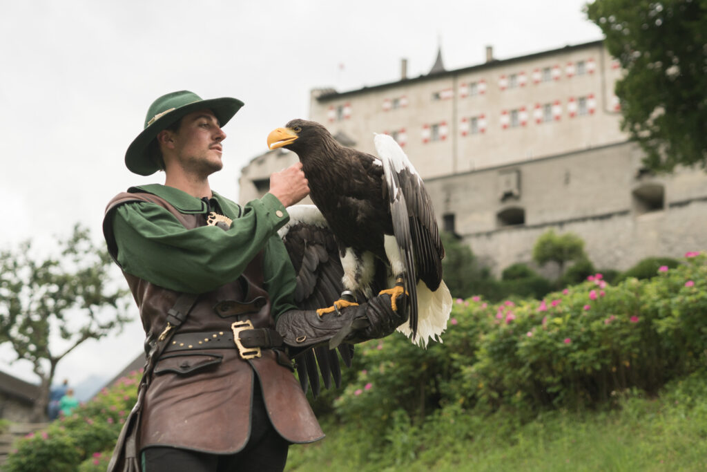 Burg Hohenwerfen, Falknerei © Salzburger Burgen und Schlösser