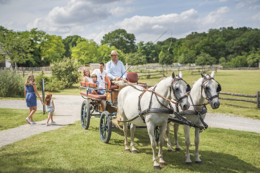 Schloss Hof, Kutschenfahrt © SKB, Severin Wurnig