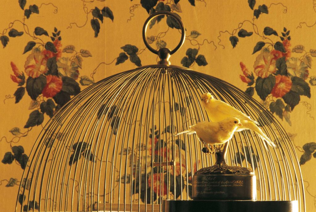 Käfig mit den Kanarienvögeln von Kaiser Franz © BMobV/SKB, Foto Lois Lammerhuber