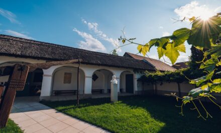 Haydnregion Niederösterreich 2024: „Inspiration Haydn“! - Archiviert