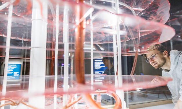 Die experimenta in Heilbronn: Du und dein Gehirn