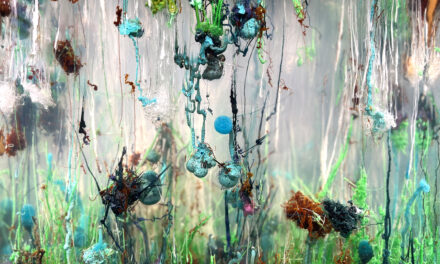 Mudam – Das Museum für zeitgenössische Kunst in Luxemburg: Agnieszka Kurant