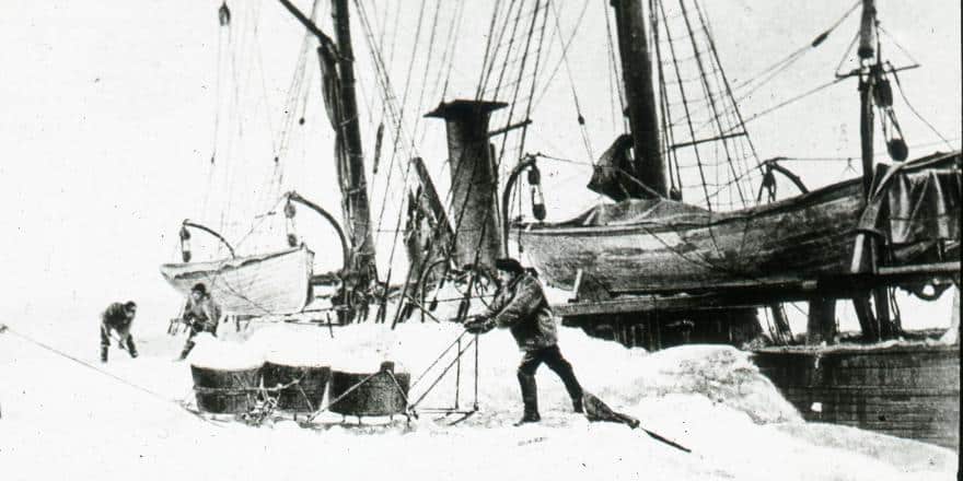 Museum aan de Stroom Antwerpen: Zur Antarktis © Museum aan de Stroom