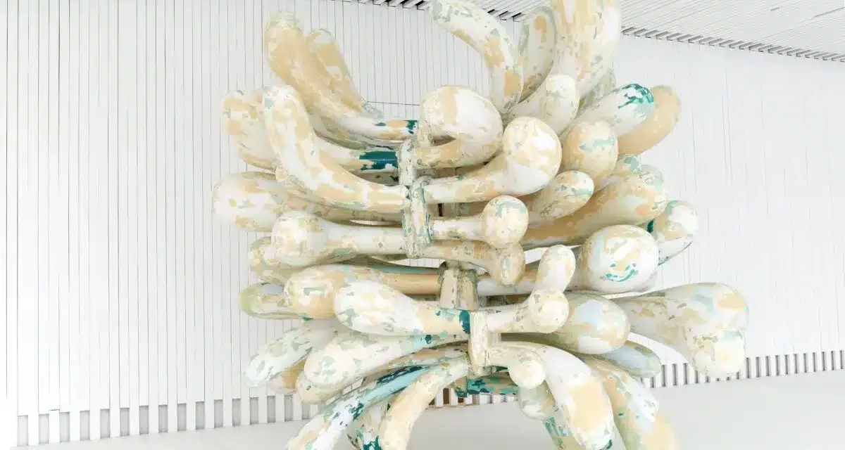 Kunstpalast Düsseldorf: TONY CRAGG. PLEASE TOUCH! - Archiviert