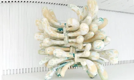 Kunstpalast Düsseldorf: TONY CRAGG. PLEASE TOUCH! - Archiviert