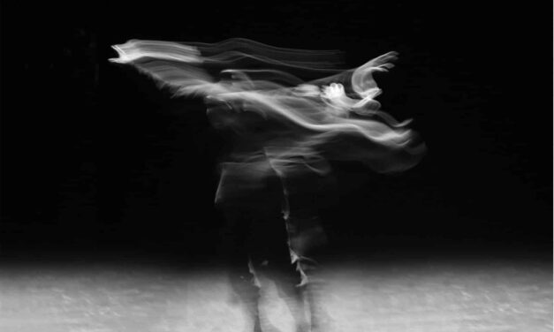 Theater Freiburg: L’envol