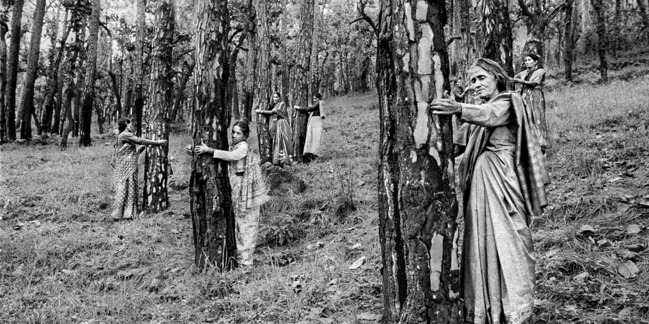 FOMU Foto Museum Antwerpen: Re/sisters