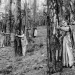 FOMU Foto Museum Antwerpen: Re/sisters