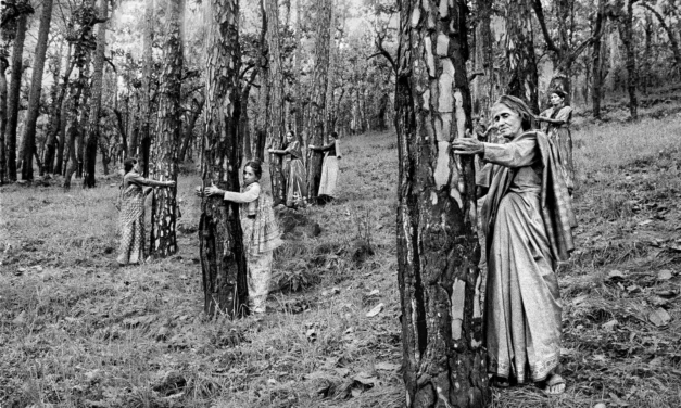 FOMU Foto Museum Antwerpen: Re/sisters