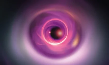 Centre d’Art Contemporain Genève: Biennale de l’Image en Mouvement 2024 - Archiviert