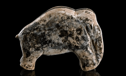 Archäologisches Landesmuseum Baden-Württemberg in Konstanz: Meisterwerke der Eiszeit – Die ältesten Tierskulpturen der Menschheit  - Archiviert