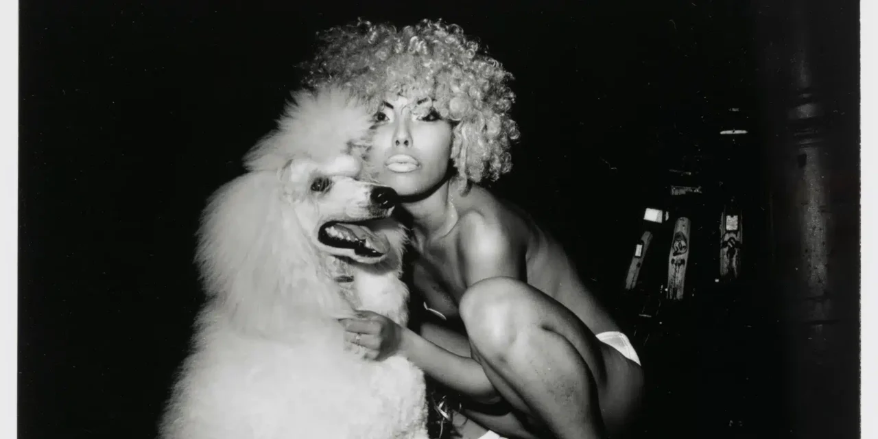 Rijksmuseum Amsterdam: Express yourself