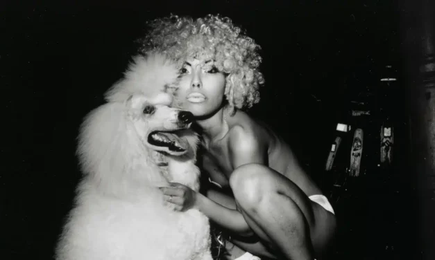 Rijksmuseum Amsterdam: Express yourself