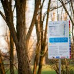 St. Pölten: Die Wege der Sinne: Wald und Fluss