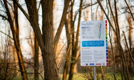 St. Pölten: Die Wege der Sinne: Wald und Fluss - Archiviert