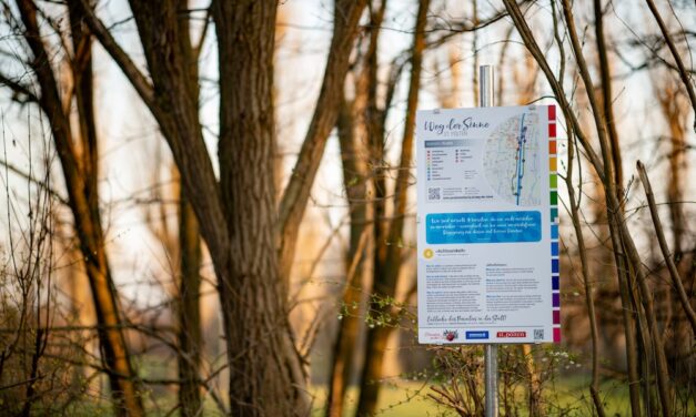 St. Pölten: Die Wege der Sinne: Wald und Fluss