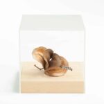 Museion Bozen: Poetry in the box