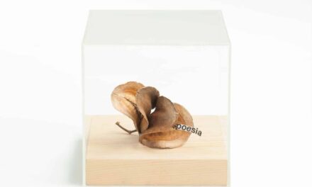 Museion Bozen: Poetry in the box