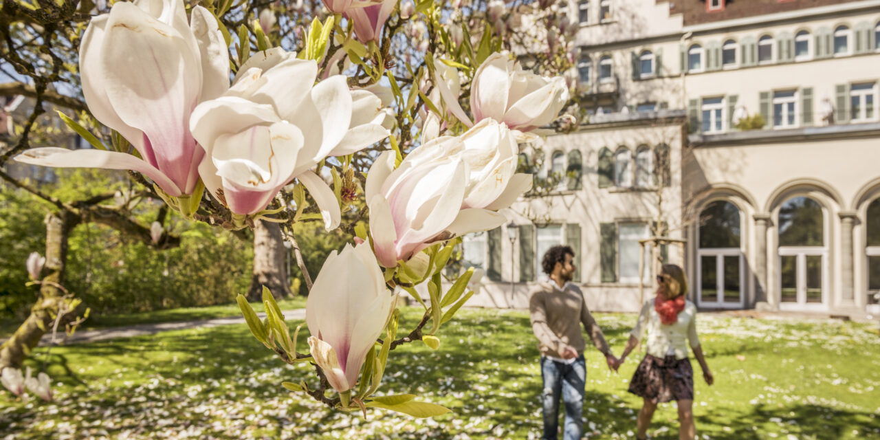 Ostererlebnisse in Konstanz 2024: Frühlingsfrisch, genussvoll, unterhaltsam - Archiviert